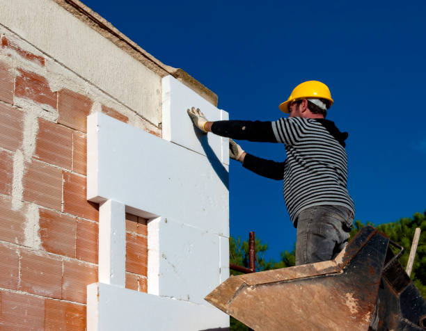 Best Insulation Replacement Services  in Genoa, AR