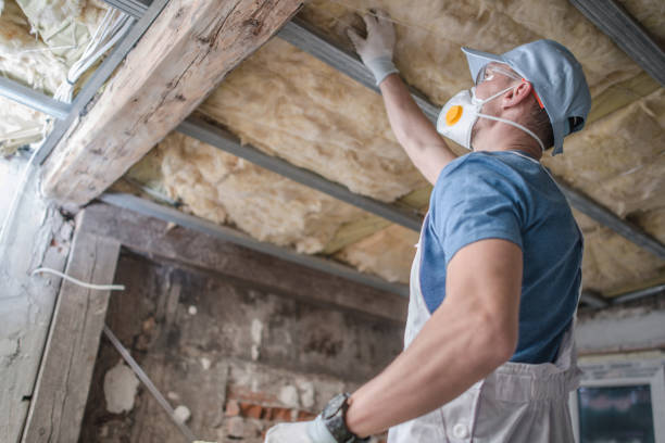 Best Residential Insulation Services  in Genoa, AR