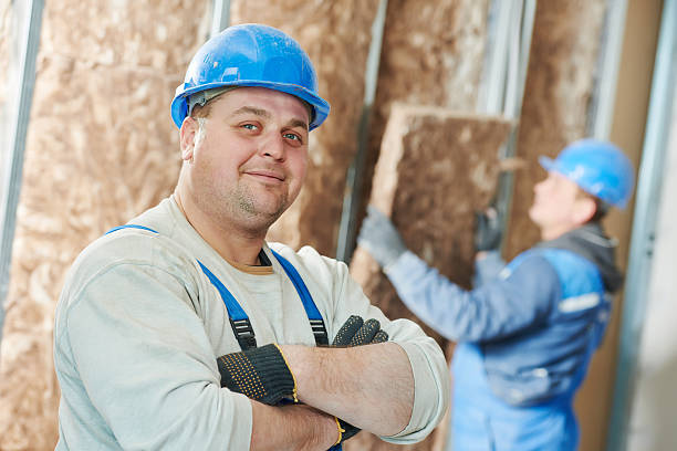 Best Wall Insulation Contractor  in Genoa, AR