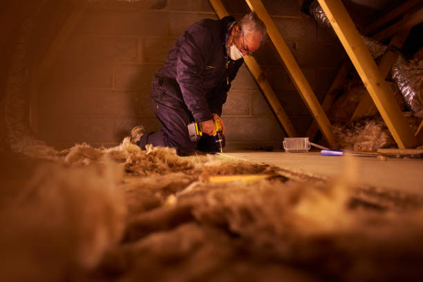 Best Affordable Insulation Services  in Genoa, AR